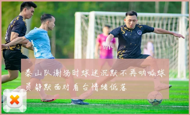 泰山队谢场时球迷沉默不再呐喊球员静默面对看台情绪低落