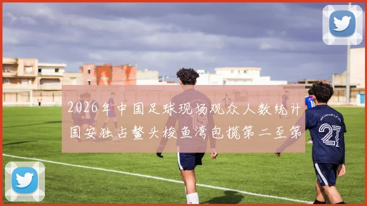 2026年中国足球现场观众人数统计国安独占鳌头梭鱼湾包揽第二至第七位